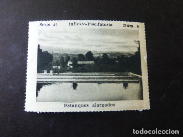 Collezionismo Figurine antiche: INFIESTO ASTURIAS PISCIFACTORIA ANTIGUO CROMO A&Ntilde;OS 30