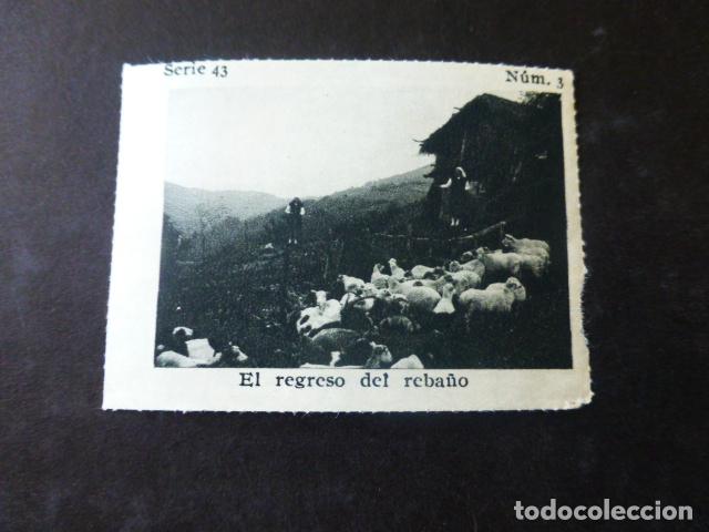 Coleccionismo Cromos antiguos: ASTURIAS EL REGRESO DEL REBA&Ntilde;O CROMO A&Ntilde;OS 30