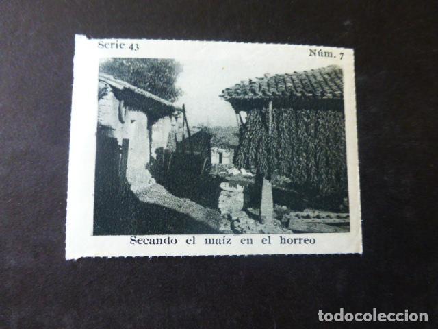 Sammeln alte Sammelbilder: ASTURIAS SECANDO EL MAIZ EN EL HORREO CROMO A&Ntilde;OS 30