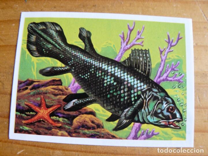 Coleccionismo cromos antiguos: El mas y el menos n&ordm; 34 - Foto 1