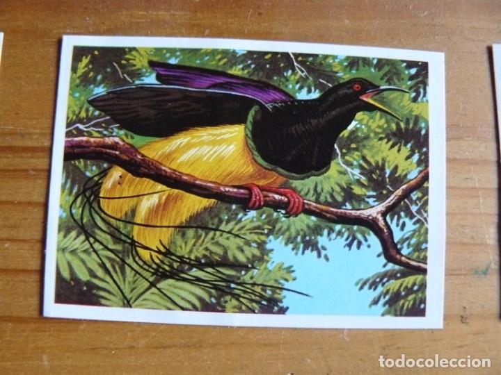 Coleccionismo cromos antiguos: El mas y el menos n&ordm; 83 - Foto 1