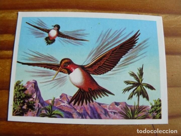 Coleccionismo cromos antiguos: El mas y el menos n&ordm; 87 - Foto 1