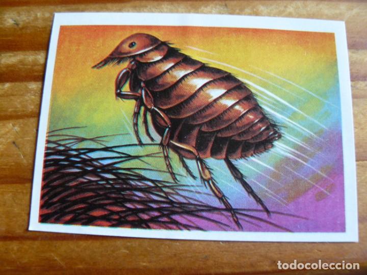 Coleccionismo cromos antiguos: El mas y el menos n&ordm; 102 - Foto 1