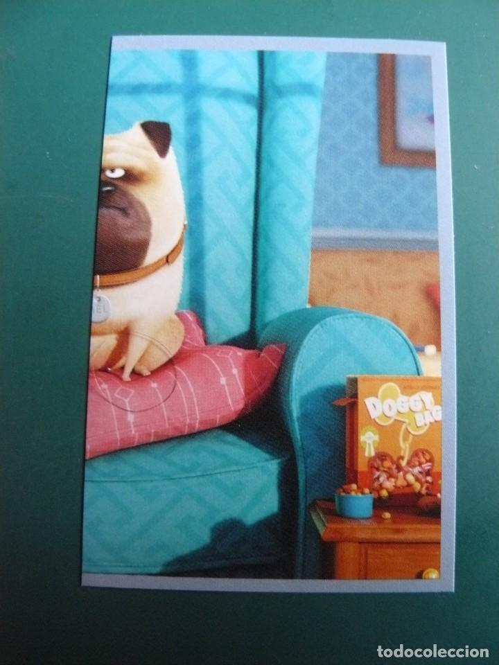 Coleccionismo cromos antiguos: Mascotas N&ordm; 47 - Foto 1