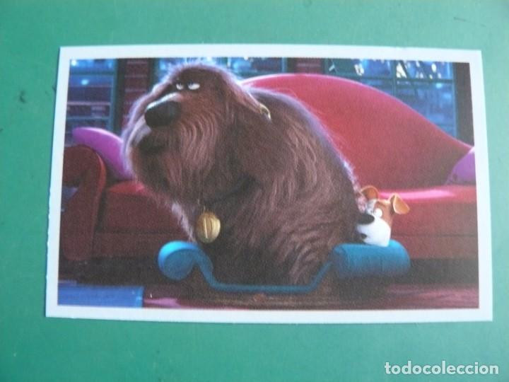 Coleccionismo cromos antiguos: Mascotas N&ordm; 91 - Foto 1