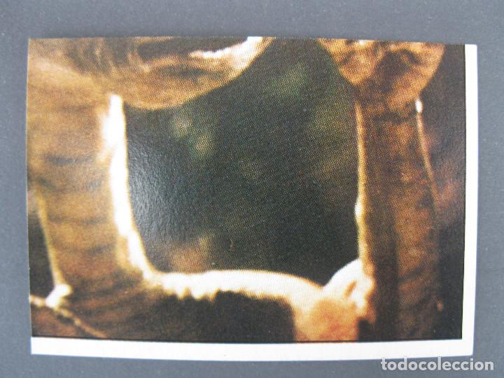Coleccionismo cromos antiguos: E.T. EL EXTRATERRESTRE - CROMO N&ordm; 81 - EDICIONES ESTE - NUNCA PEGADO. - Foto 1