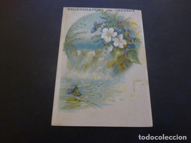 Sammeln alte Sammelbilder: FLORES Y PAISAJE CROMO SIGLO XIX