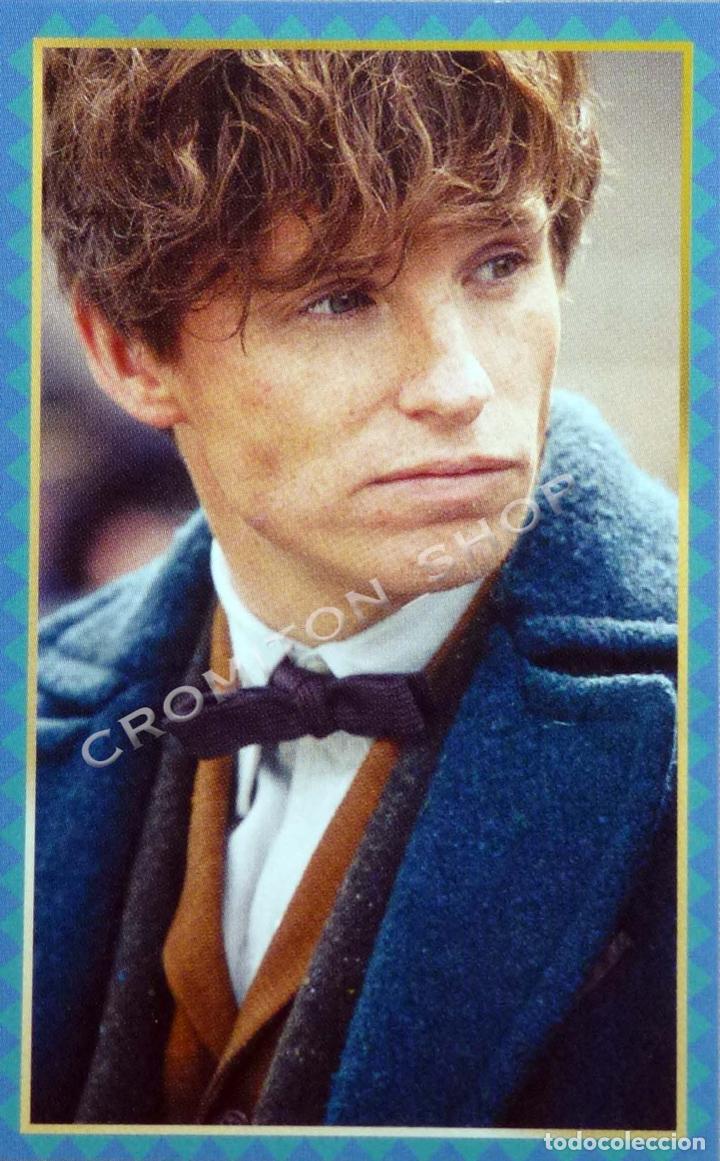 Coleccionismo Cromos antiguos: N&ordm; 8 HARRY POTTER - ANIMALES FANTASTICOS Y DONDE ENCONTRARLOS PANINI FANTASTIC BEASTS7839
