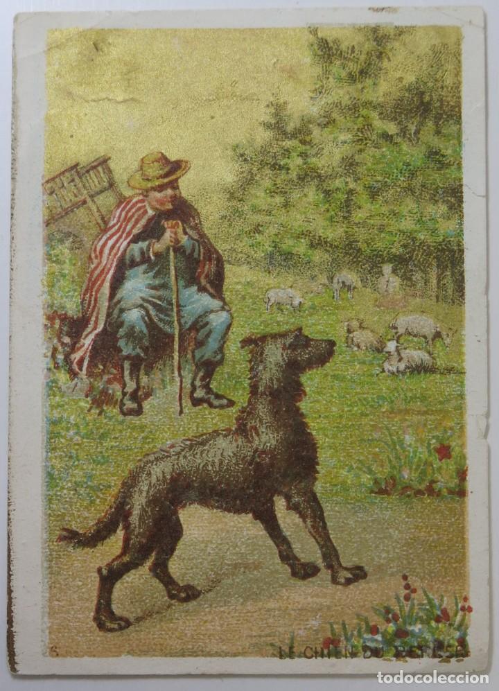 Coleccionismo cromos antiguos: CROMO. COMPA&Ntilde;IA COLONIAL - Foto 1