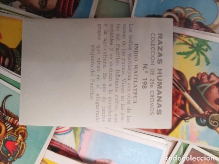 Coleccionismo cromos antiguos: Lote cromos razas humanas.. unos 85 - Foto 2