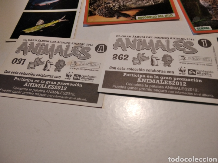 Coleccionismo cromos antiguos: Cromos animales - Foto 2