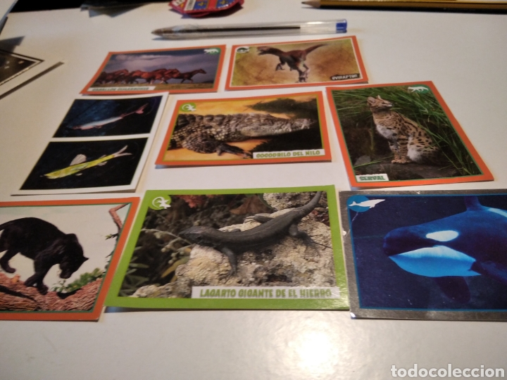 Coleccionismo cromos antiguos: Cromos animales - Foto 1