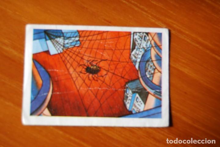 Coleccionismo cromos antiguos: Cromo Spiderman N. 8. 1981 - Foto 1