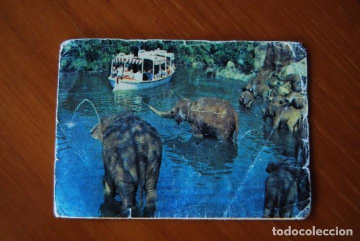 Coleccionismo cromos antiguos: Cromo Disney Bimbo N. 30 - Foto 1