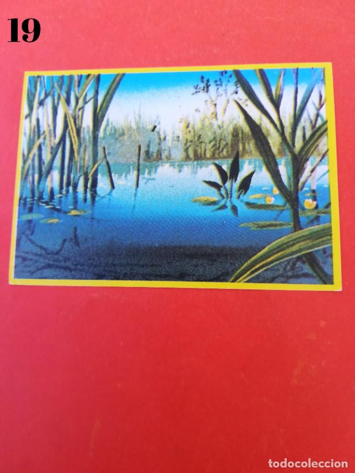 Coleccionismo cromos antiguos: Cromo n.19 - Abeja maya - DANONE sin pegar - Foto 1