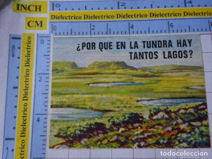 Collezionismo Figurine antiche: CROMO CROMITO CHUCHER&Iacute;AS. &Aacute;LBUM BIMBO EL PORQUE DE LAS COSAS 3 1972. 170 LA TUNDRA