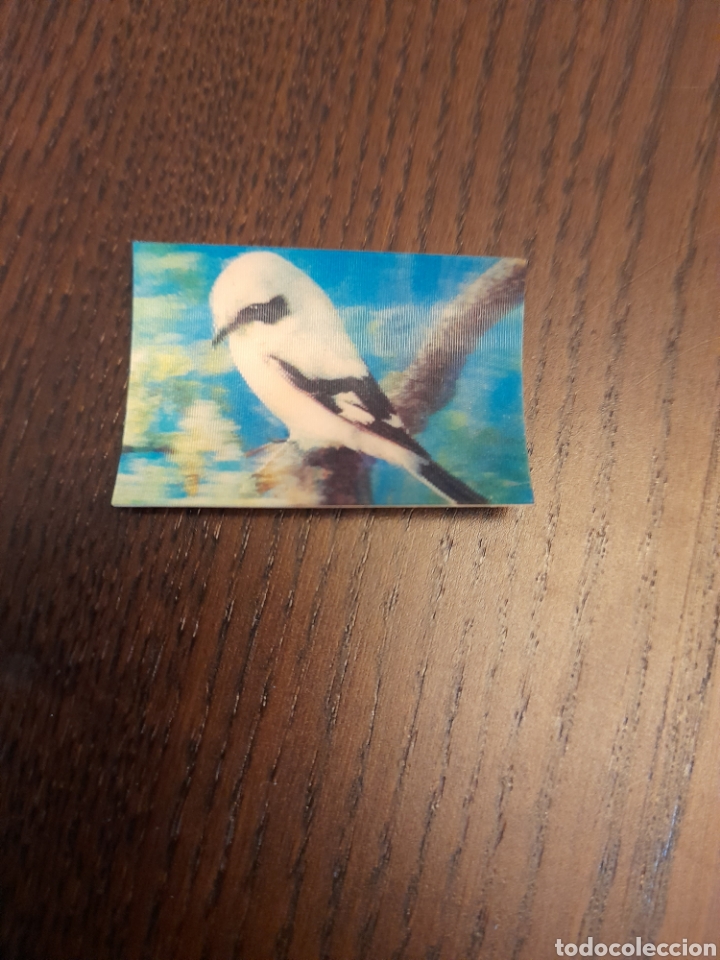 Coleccionismo Cromos antiguos: ALCAUDON REAL HOLOGRAMA PANRICO #25 NO CROPAN ZIBALI ZAHOR