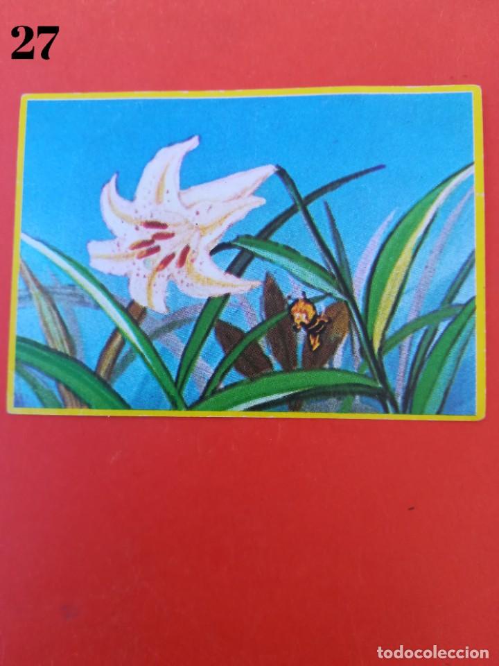Coleccionismo cromos antiguos: Cromo n.27 - Abeja maya - DANONE sin pegar - Foto 1