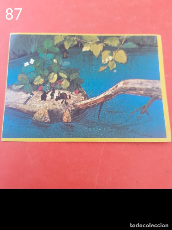 Coleccionismo cromos antiguos: Cromo n.87 - abeja maya - DANONE sin pegar - Foto 1