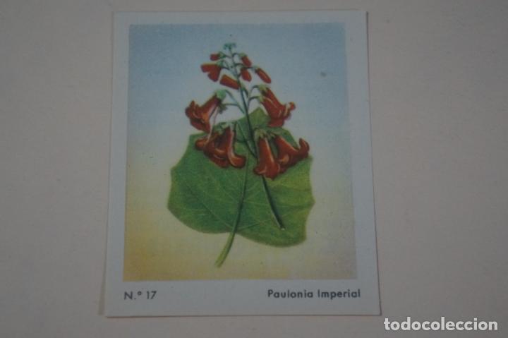 Coleccionismo Cromos antiguos: CROMO DE CEREGUMIL PAULONIA IMPERIAL SIN PEGAR N&ordm; 17 A&Ntilde;O 1960 DEL ALBUM CEREGUMIL