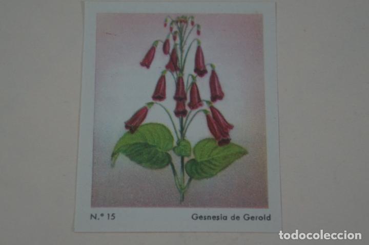Coleccionismo Cromos antiguos: CROMO DE CEREGUMIL GESNESIA DE GEROLD SIN PEGAR N&ordm; 15 A&Ntilde;O 1960 DEL ALBUM CEREGUMIL