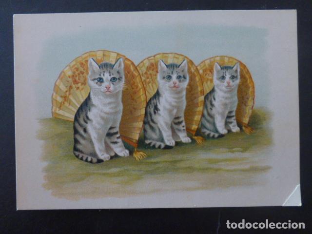 Sammeln alte Sammelbilder: GATOS Y ABANICOS ANTIGUO CROMO SIGLO XIX