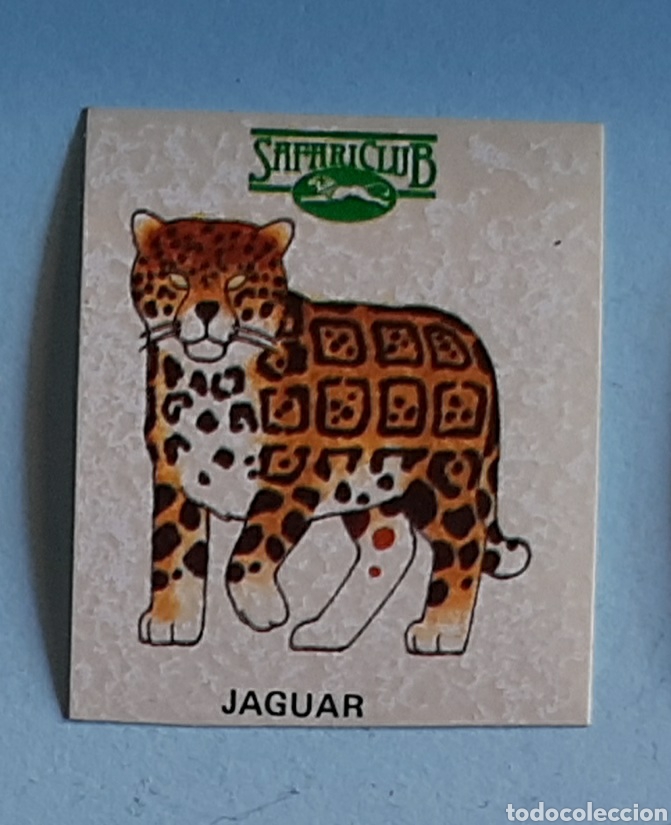 Coleccionismo Cromos antiguos: Pegatina Jaguar Colecci&oacute;n Safari Club Sin usar - Pedido m&iacute;nimo 3 &euro;