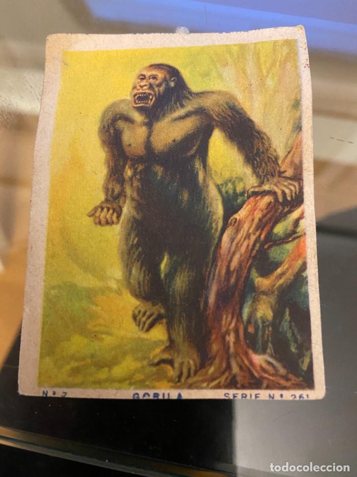 Coleccionismo cromos antiguos: CALDO NAKAI CROMO GORILA - Foto 1