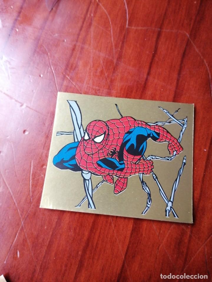 Coleccionismo cromos antiguos: cromo SPIDERMAN especial marvel comics 1995 panini letra E - Foto 1