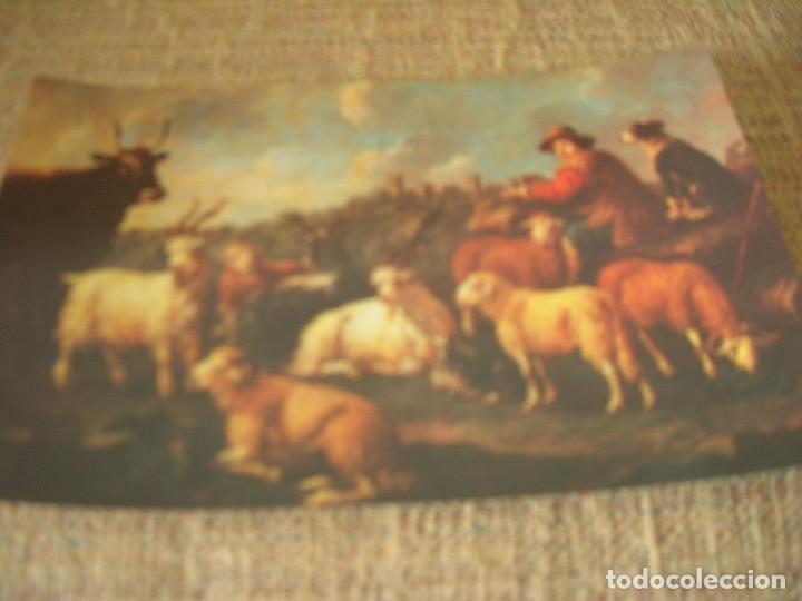 Coleccionismo Cromos antiguos: Fotocromo, n&ordm; 24. Cabras, corderos y una vaca. &Oacute;leo de Felipe Roos. Madrid, Museo del Prado.