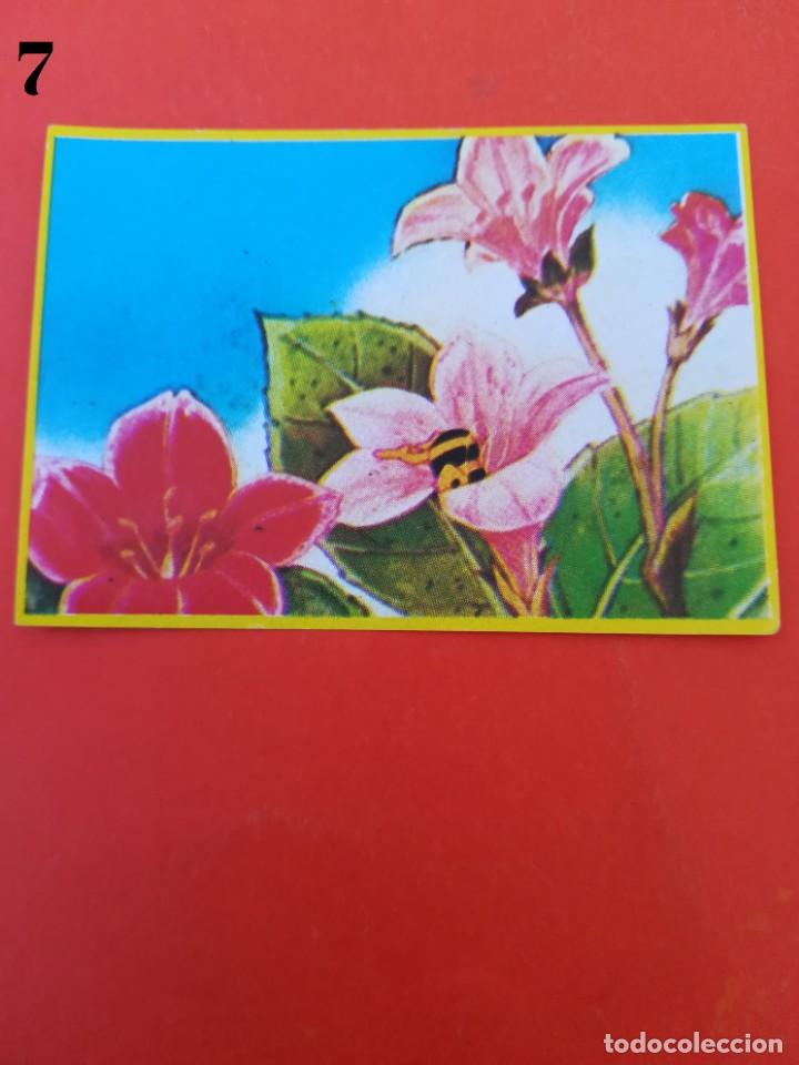 Coleccionismo cromos antiguos: Cromo n.7 - abeja maya - DANONE sin pegar - Foto 1