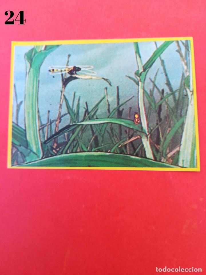 Coleccionismo cromos antiguos: Cromo n.24 - abeja maya - DANONE sin pegar - Foto 1