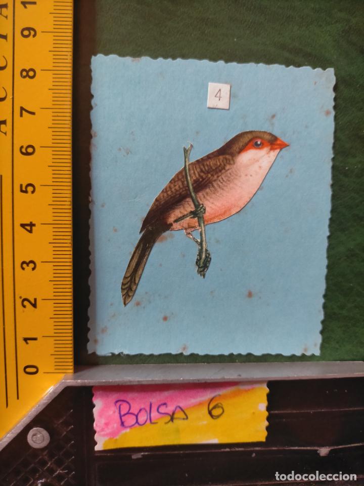 Colecionismo Cromos antigos: ANTIGUOS CROMOS CASEROS COLECCIONISTAS DE AVES PAJAROS TROQUELADO O RECORTADO ORNITOLOGIA