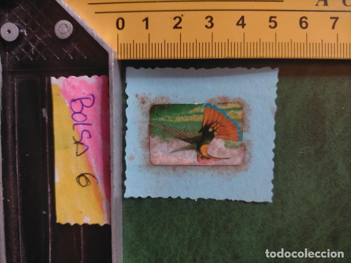 Colecionismo Cromos antigos: ANTIGUOS CROMOS CASEROS COLECCIONISTAS DE AVES PAJAROS TROQUELADO O RECORTADO ORNITOLOGIA