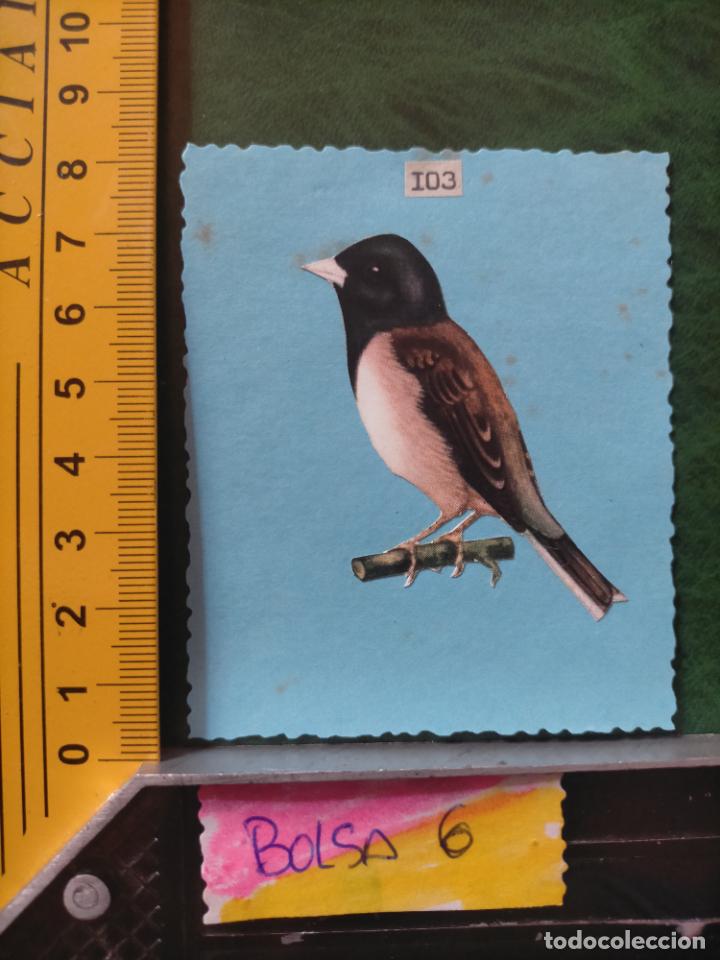 Colecionismo Cromos antigos: ANTIGUOS CROMOS CASEROS COLECCIONISTAS DE AVES PAJAROS TROQUELADO O RECORTADO ORNITOLOGIA