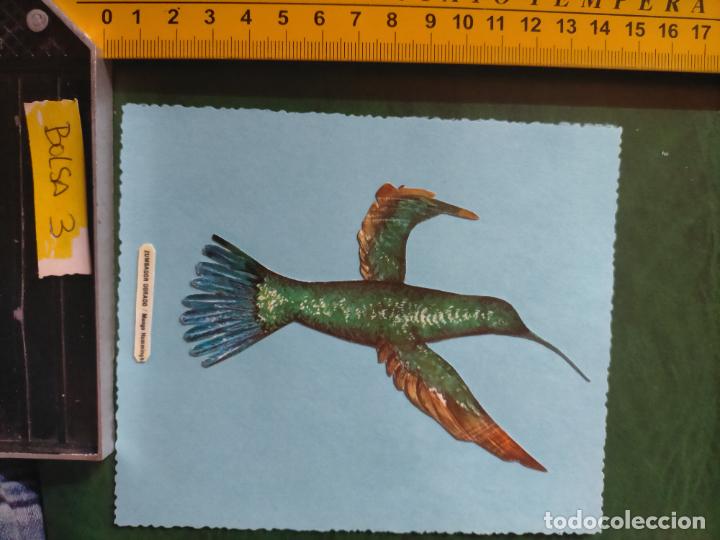 Colecionismo Cromos antigos: ANTIGUOS CROMOS CASEROS COLECCIONISTAS DE AVES PAJAROS TROQUELADO O RECORTADO ORNITOLOGIA