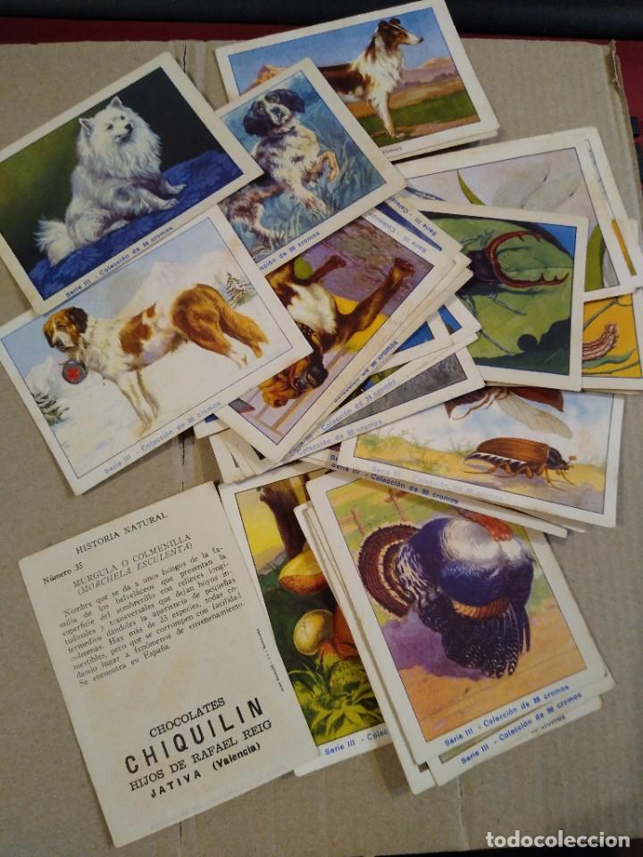 Colecionismo Cromos antigos: Colecci&oacute;n 36 cromos ( faltan 6) historia natural III Chocolates Chiquilin Hijos Rafael Reig. Jativa