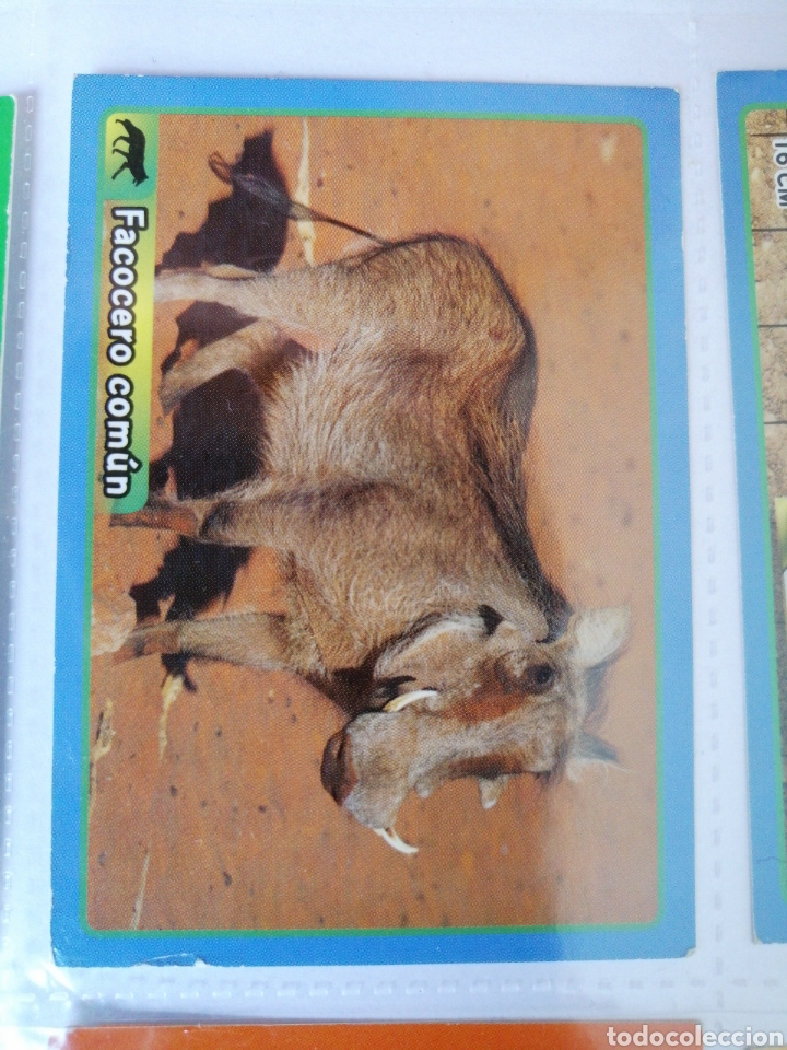 Coleccionismo cromos antiguos: ANIMALES 278 - Foto 1