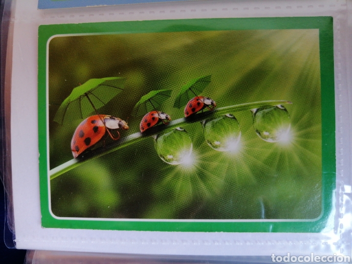 Coleccionismo cromos antiguos: ANIMALES (2014) 295 - Foto 1