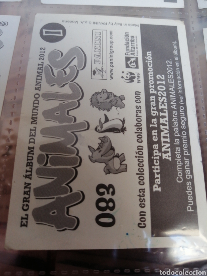 Coleccionismo cromos antiguos: ANIMALES (2012)83 - Foto 2