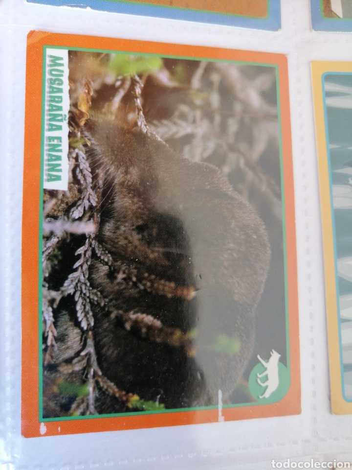 Coleccionismo cromos antiguos: ANIMALES (2012)83 - Foto 1