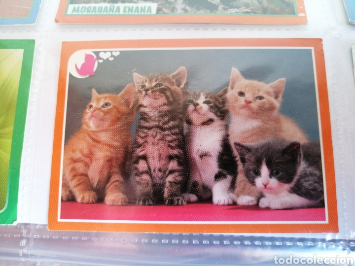 Coleccionismo cromos antiguos: ANIMALES (2012)233 - Foto 1