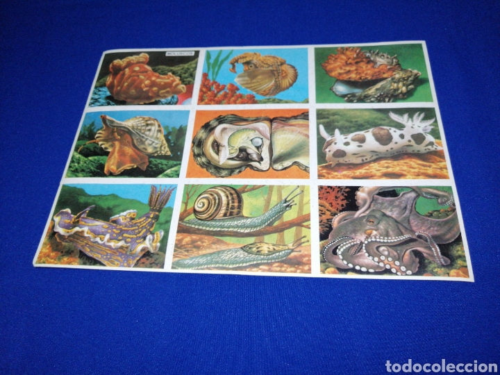 Coleccionismo cromos antiguos: LAMINA DE CROMOS PANORAMA 1976 - Foto 1