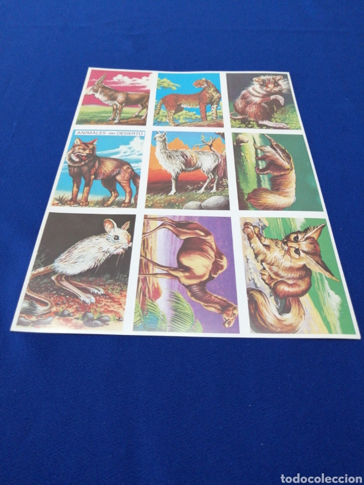Collectable Antique Stickers: CROMOS VISION DE LA NATURALEZA L&Aacute;MINA SIN CORTAR EDITORIAL MAGA A&Ntilde;O 1978