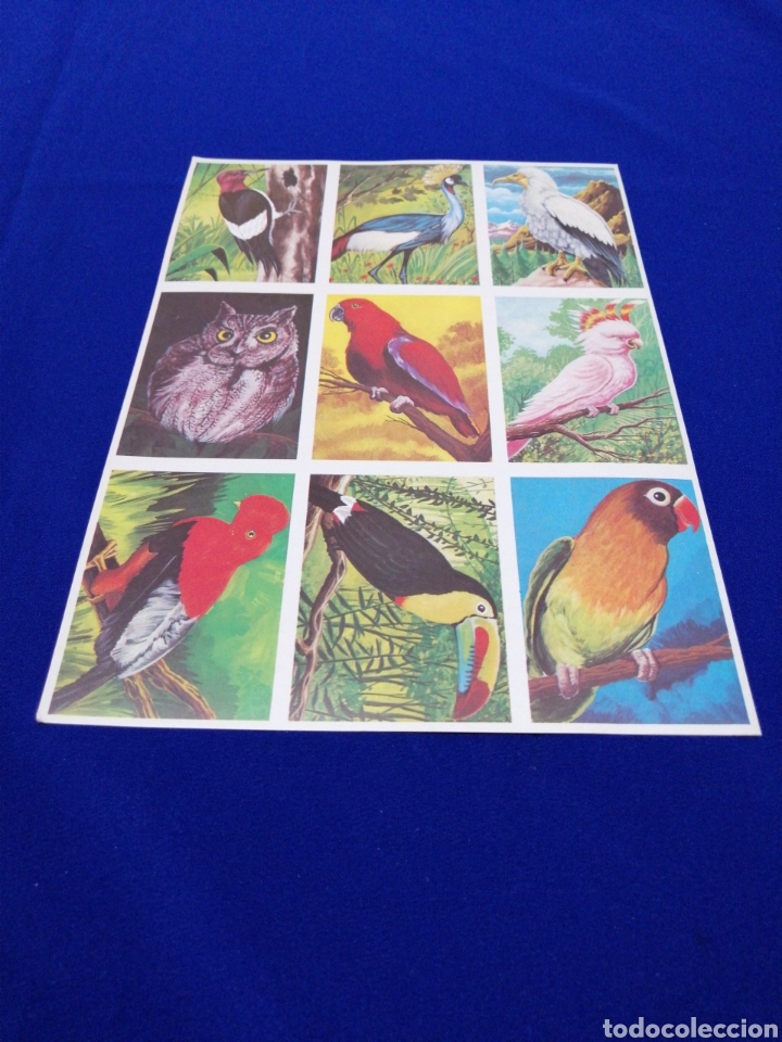 Collezionismo Figurine antiche: CROMOS VISION DE LA NATURALEZA L&Aacute;MINA SIN CORTAR EDITORIAL MAGA A&Ntilde;O 1978