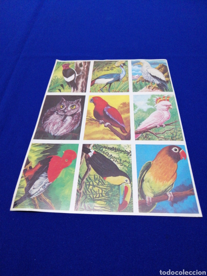 Collectable Antique Stickers: CROMOS VISION DE LA NATURALEZA L&Aacute;MINA SIN CORTAR EDITORIAL MAGA A&Ntilde;O 1978 NUMEROS DEL 195 AL 203