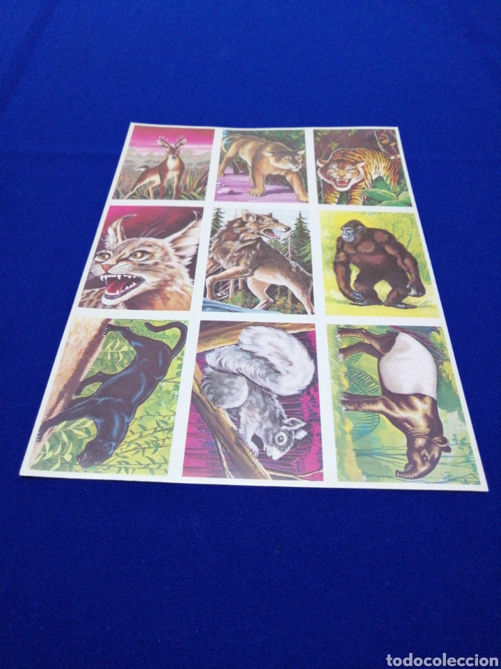 Colecionismo Cromos antigos: CROMOS VISION DE LA NATURALEZA L&Aacute;MINA SIN CORTAR EDITORIAL MAGA A&Ntilde;O 1978