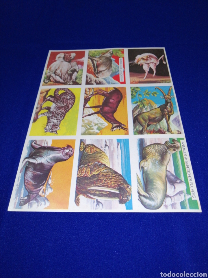 Colecionismo Cromos antigos: CROMOS VISION DE LA NATURALEZA L&Aacute;MINA SIN CORTAR EDITORIAL MAGA A&Ntilde;O 1978