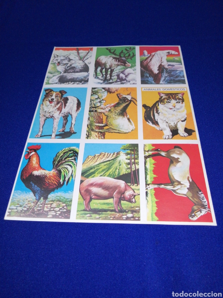 Colecionismo Cromos antigos: CROMOS VISION DE LA NATURALEZA L&Aacute;MINA SIN CORTAR EDITORIAL MAGA A&Ntilde;O 1978