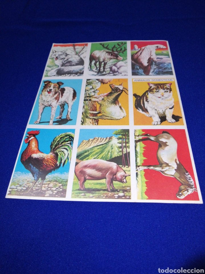Collectable Antique Stickers: CROMOS VISION DE LA NATURALEZA L&Aacute;MINA SIN CORTAR EDITORIAL MAGA A&Ntilde;O 1978